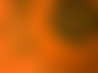 Why Seaweed Is a Game-Changer for Sustainable Pet Food