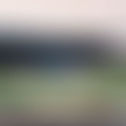 Bridge Rocks As Peacock Knocks Out Flagging Wolves