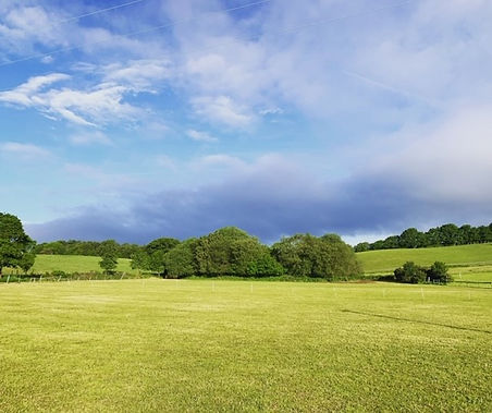 wedding field 2.jpg