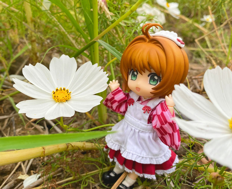 相片 2021-11-17 上午11 22 29_edited.jpg