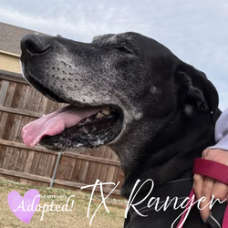 THEIR rescue story started with you (3)