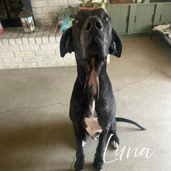 THEIR rescue story started with you