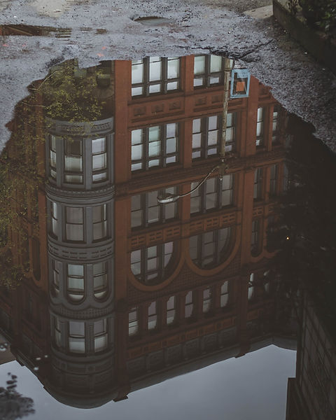 Reflection on Water Puddle