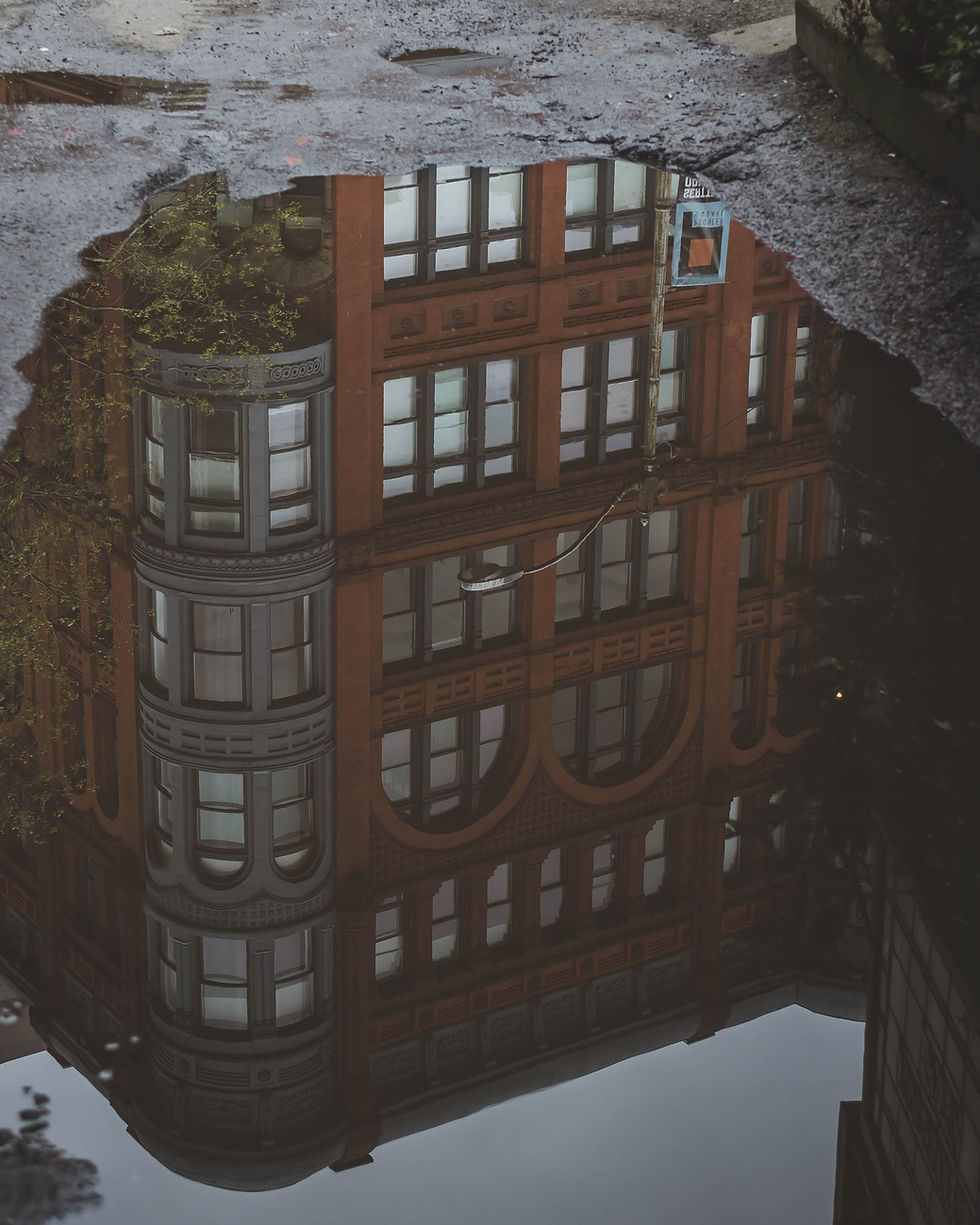 Reflection In Puddle