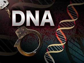 DNA Evidence and Its Role in Criminal Investigation