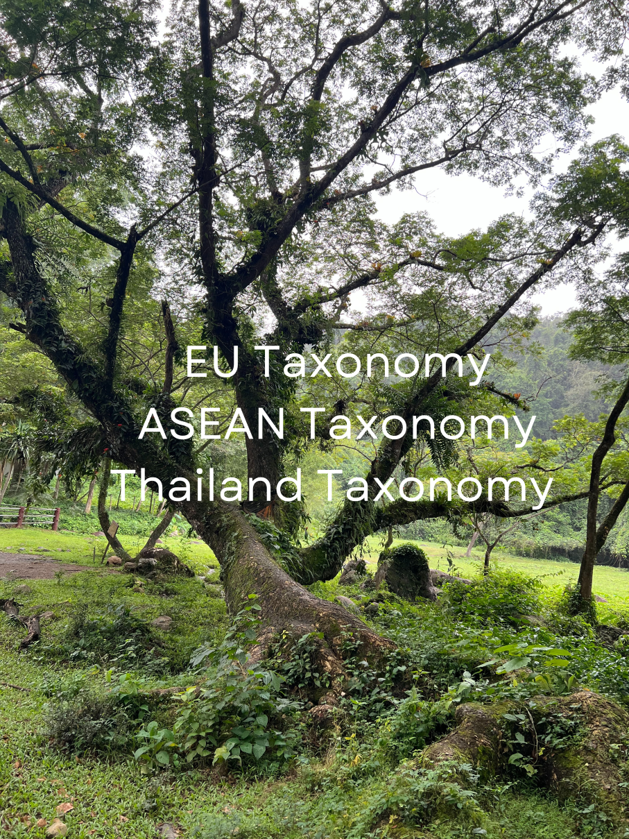 The EU Taxonomy, ASEAN Taxonomy for Finance, and Thailand Taxonomy