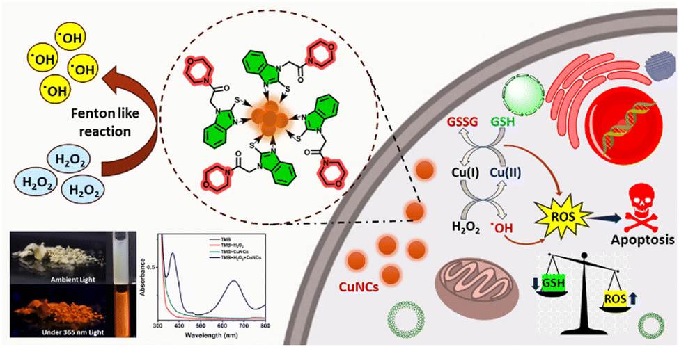 d4cc03338h-s1_hi-res