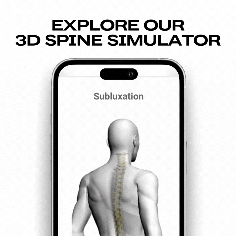 Spine Simulator