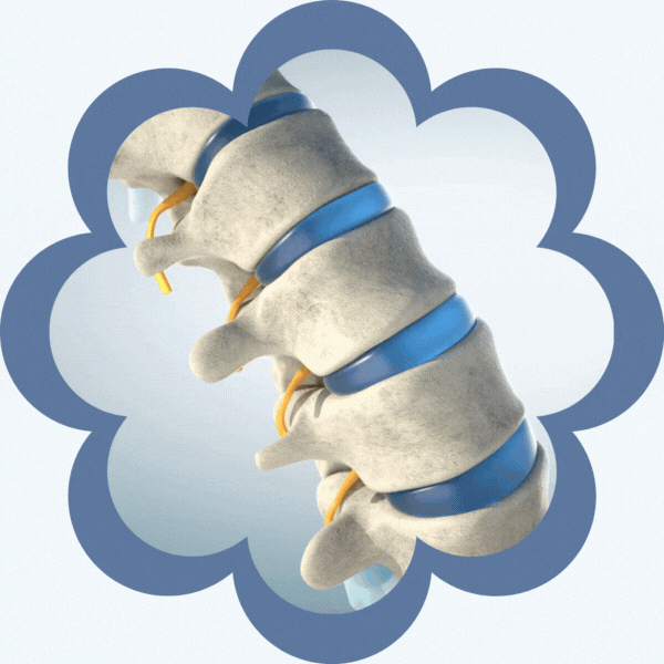 Total Health and Rehab Family Chiropractic Dr. Stephanie  (3).gif