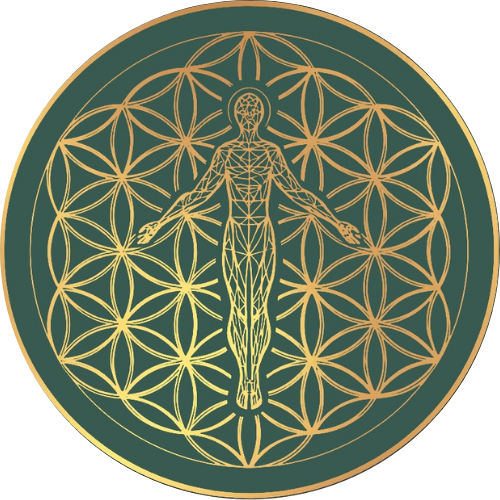 Writer: Vital Life Chiropractic