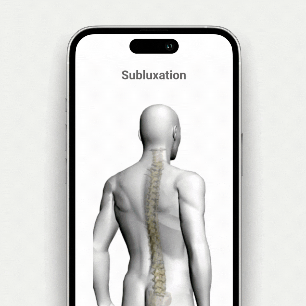 Spine Simulator