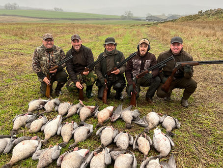 Goose Shooting Adventures in Scotland