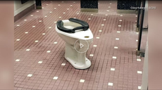 The TikTok Bathroom Challenge is Damaging My Patients' Bladders