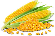 The “Corn Test” for Constipation is Worthless