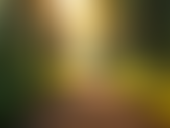 Elä hetkessä ja vähennä stressiä: Miten pysähtyminen parantaa hyvinvointia