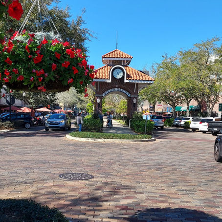 Winter Garden