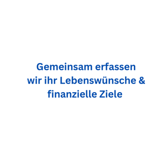 Kennenlerngespräch & Ist-Zustand Erfassung (z.B. alle Verträge, Einnahmen, Ausgaben...) (1