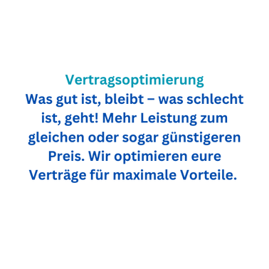 Kennenlerngespräch & Ist-Zustand Erfassung (z.B. alle Verträge, Einnahmen, Ausgaben...) (4