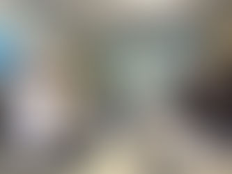 2024年 農水省政務官バイ会談通訳