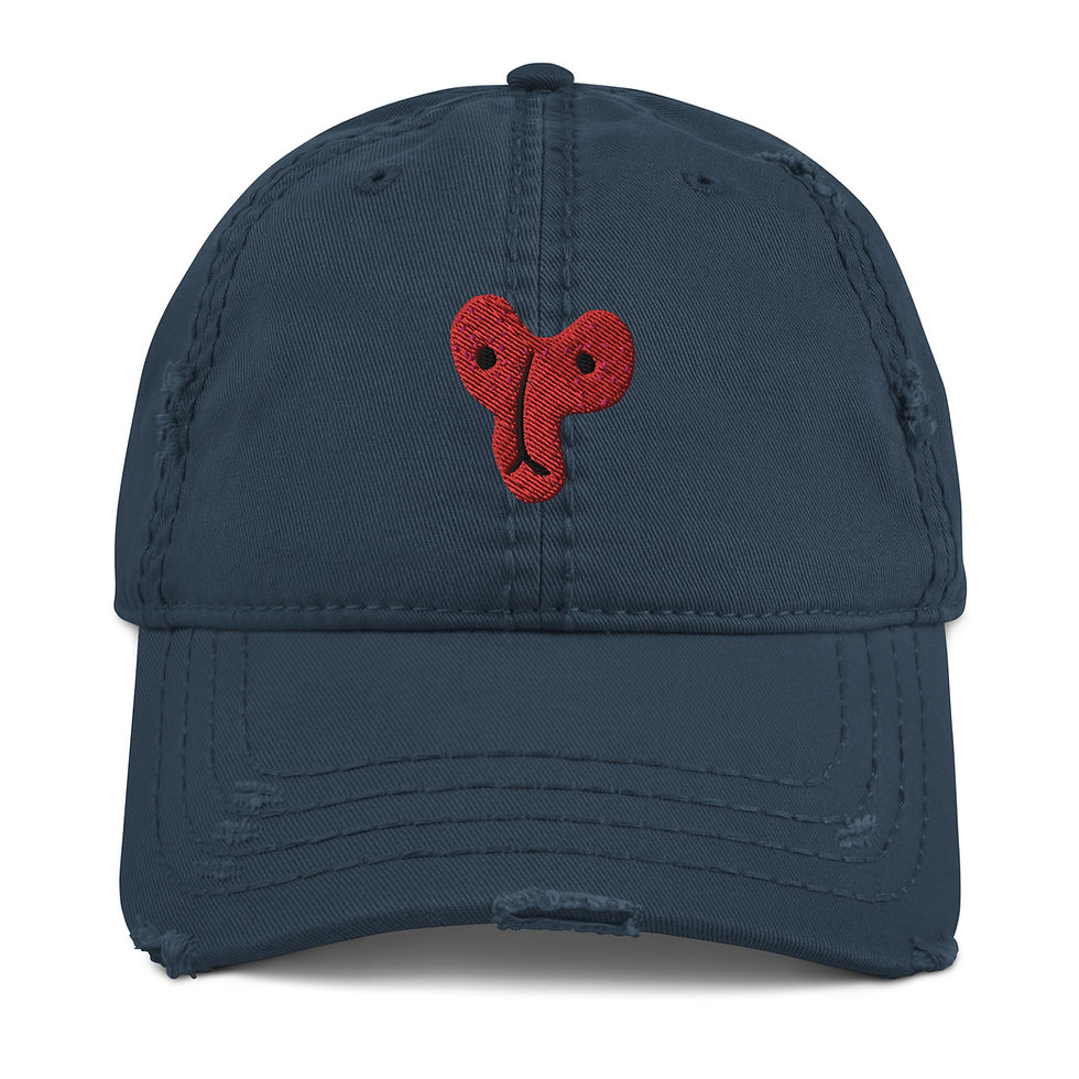 ภาพขนาดย่อ: Distressed Dad Hat