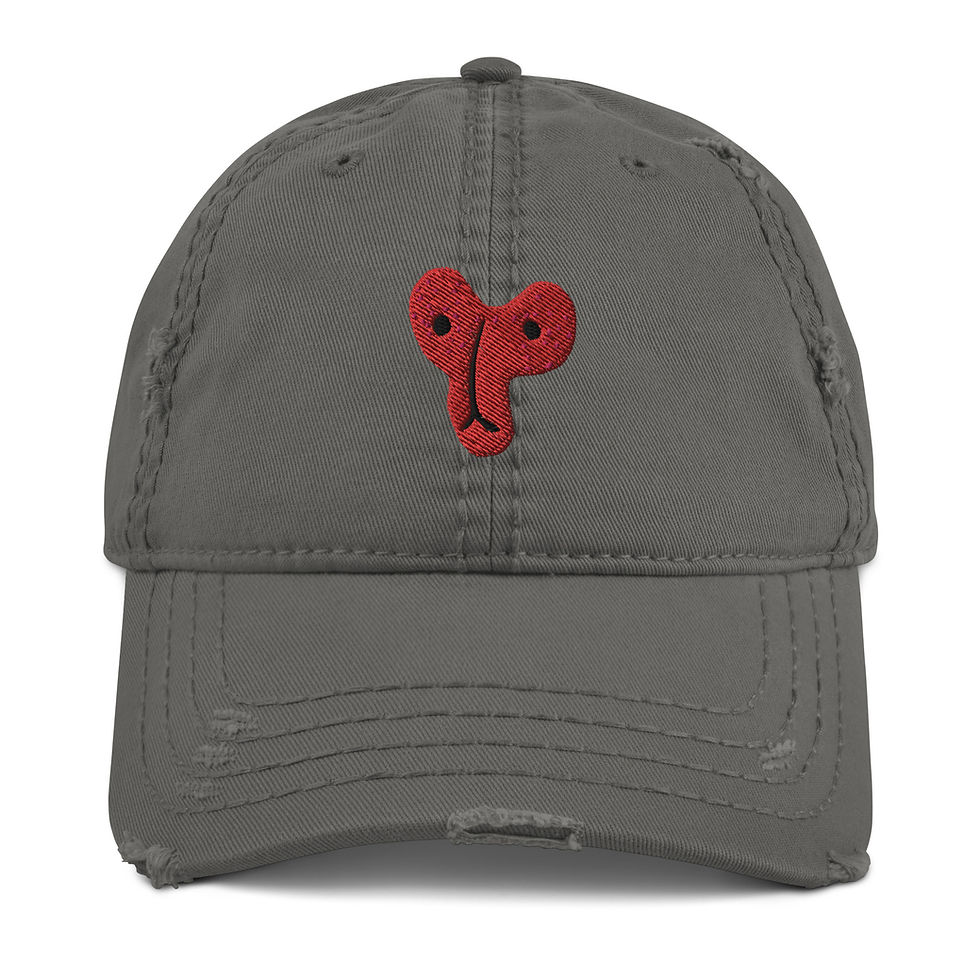 ภาพขนาดย่อ: Distressed Dad Hat