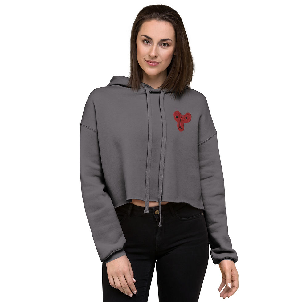 ภาพขนาดย่อ: Crop Hoodie