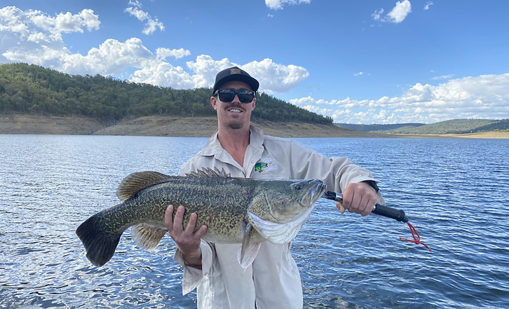 kezza lures australian timber lures