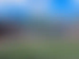 Train Like a Pro: New Human's Game Day Experience at Gillette Stadium