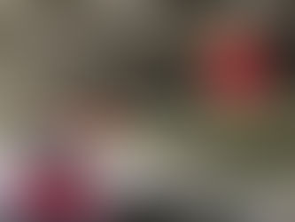 橋梁点検を行っています。