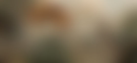 De 5 belangrijkste diersoorten in de energietransitie