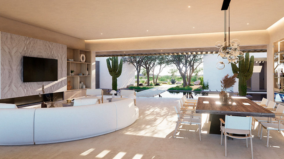 oasis 22 - palmilla