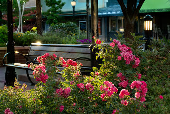 Grand Junction, Colorado