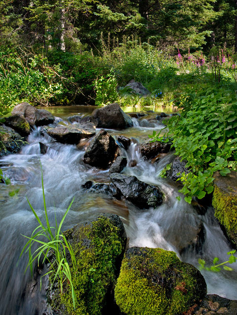 Grand Mesa National Forest, Colorado