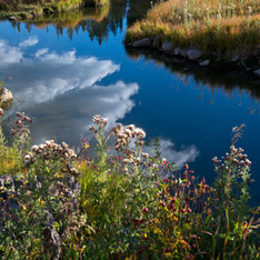 Grand Mesa