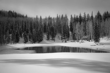 Black and White Photograph of the Grand Mesa National Forest, Colorado