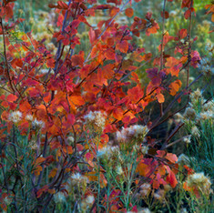 Connected Lakes Autumn