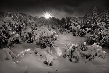 Black and White Favorite, Colorado National Monument