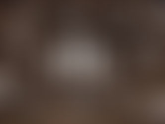 BIEN COMPRENDRE SON ANALYSE DE SOL : INDICATEURS, SIGNIFICATION, VALEUR 