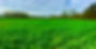 Réussir ses couverts végétaux pour améliorer ses performances agroécologiques - Formation agroécologie