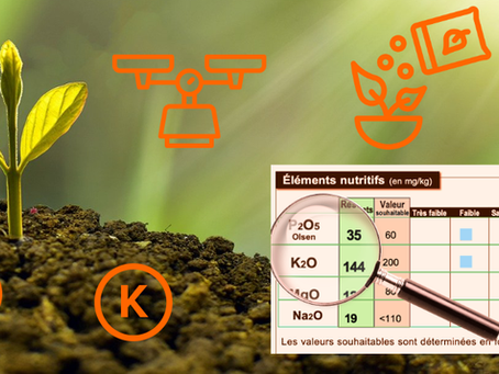 FERTILISATION PHOSPHO-POTASSIQUE : DE L'ANALYSE DE TERRE AU CALCUL DE LA DOSE AVEC LA MÉTHODE COMIFER