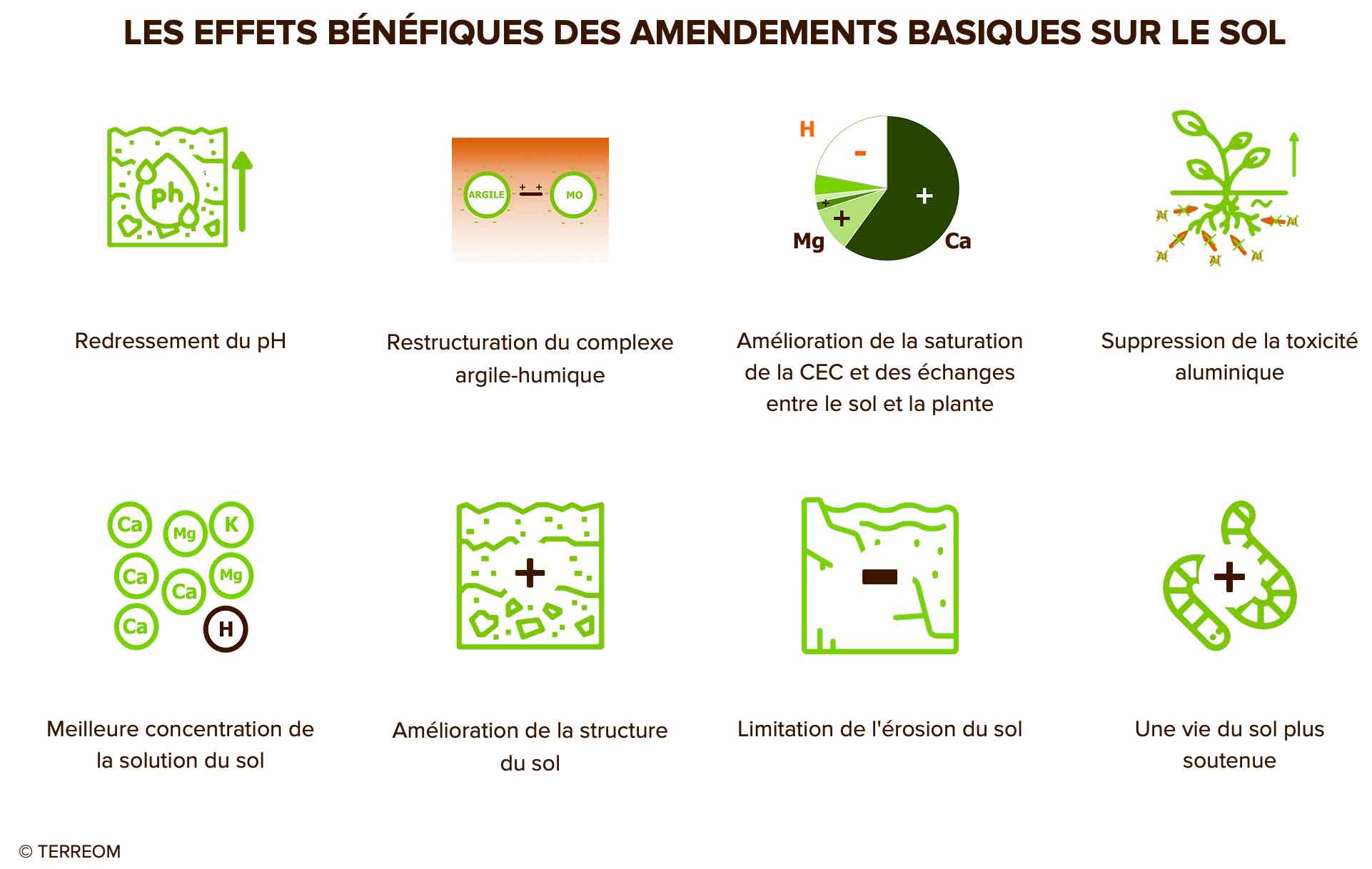 PH du sol : Savoir Contrôler son acidité | TERREOM