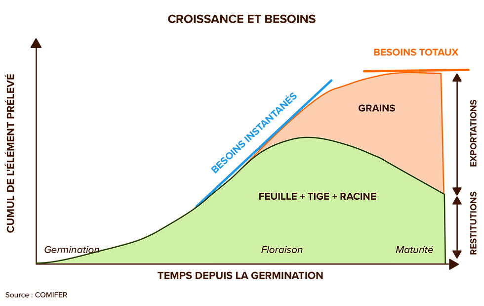 Besoins instantanés et besoins totaux