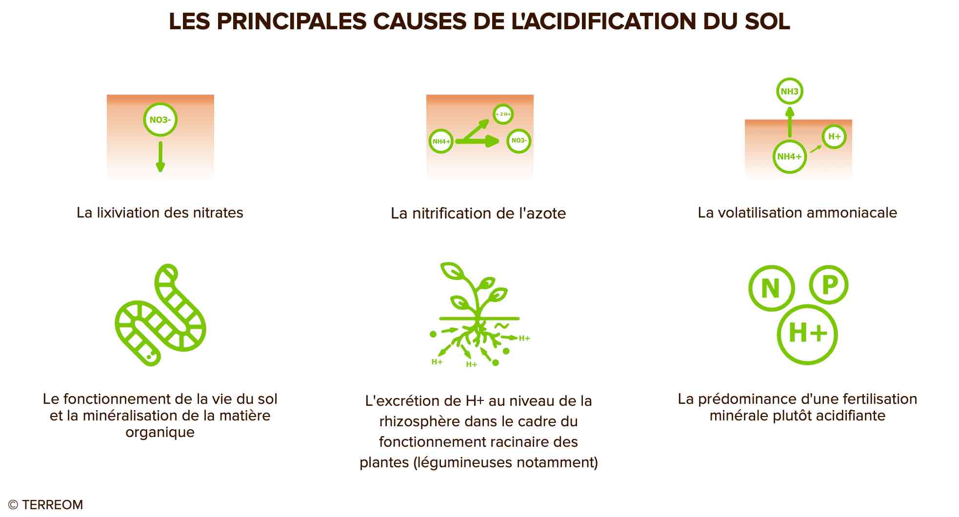 PH du sol : Savoir Contrôler son acidité | TERREOM