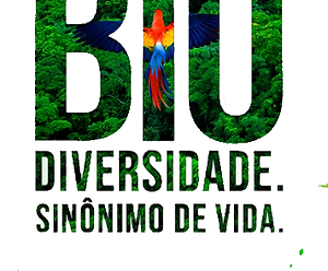 8ºC_Guilherme Pereira_Poster informativo biodiversidade.jpg.png