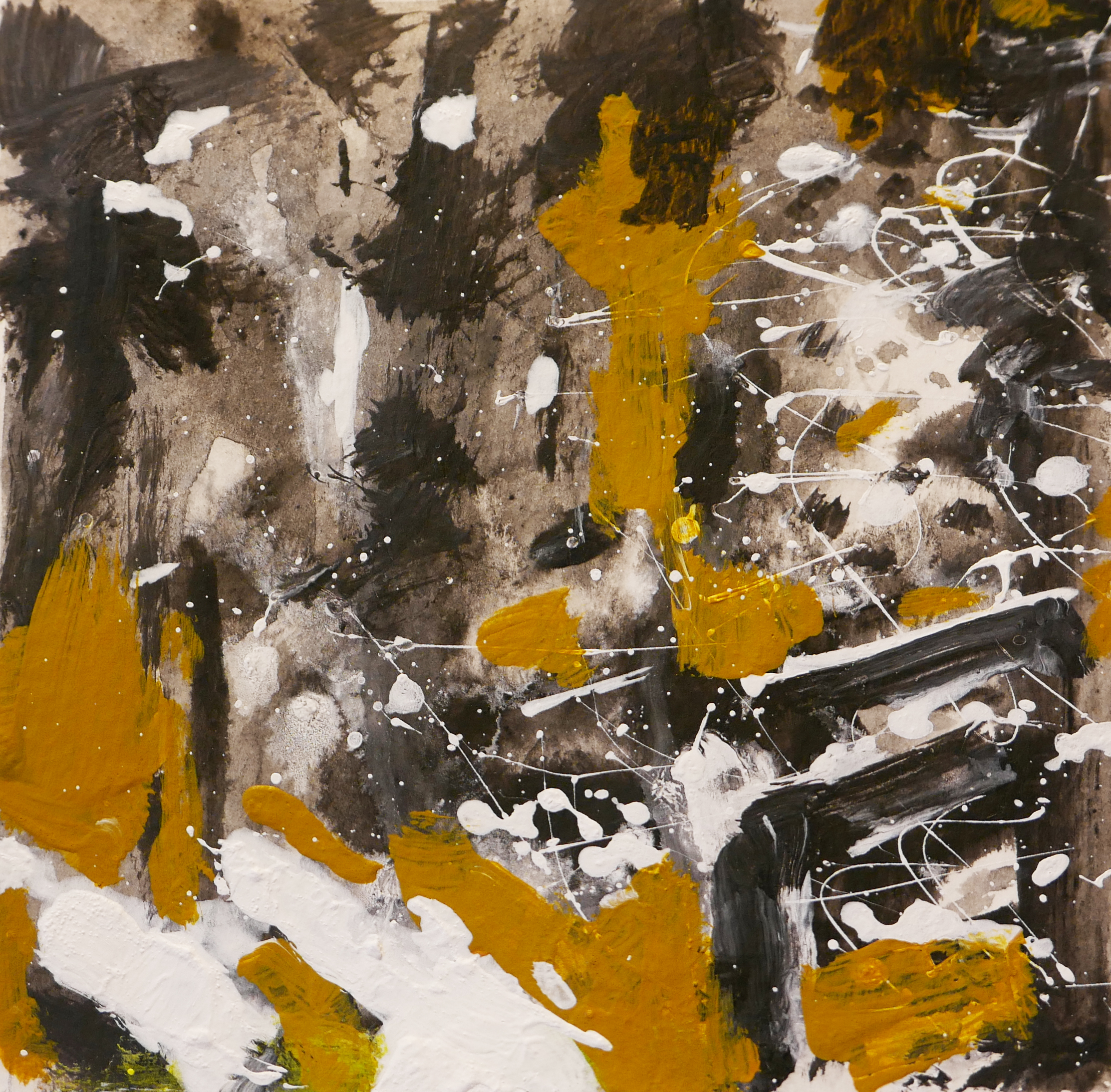 forest (study)