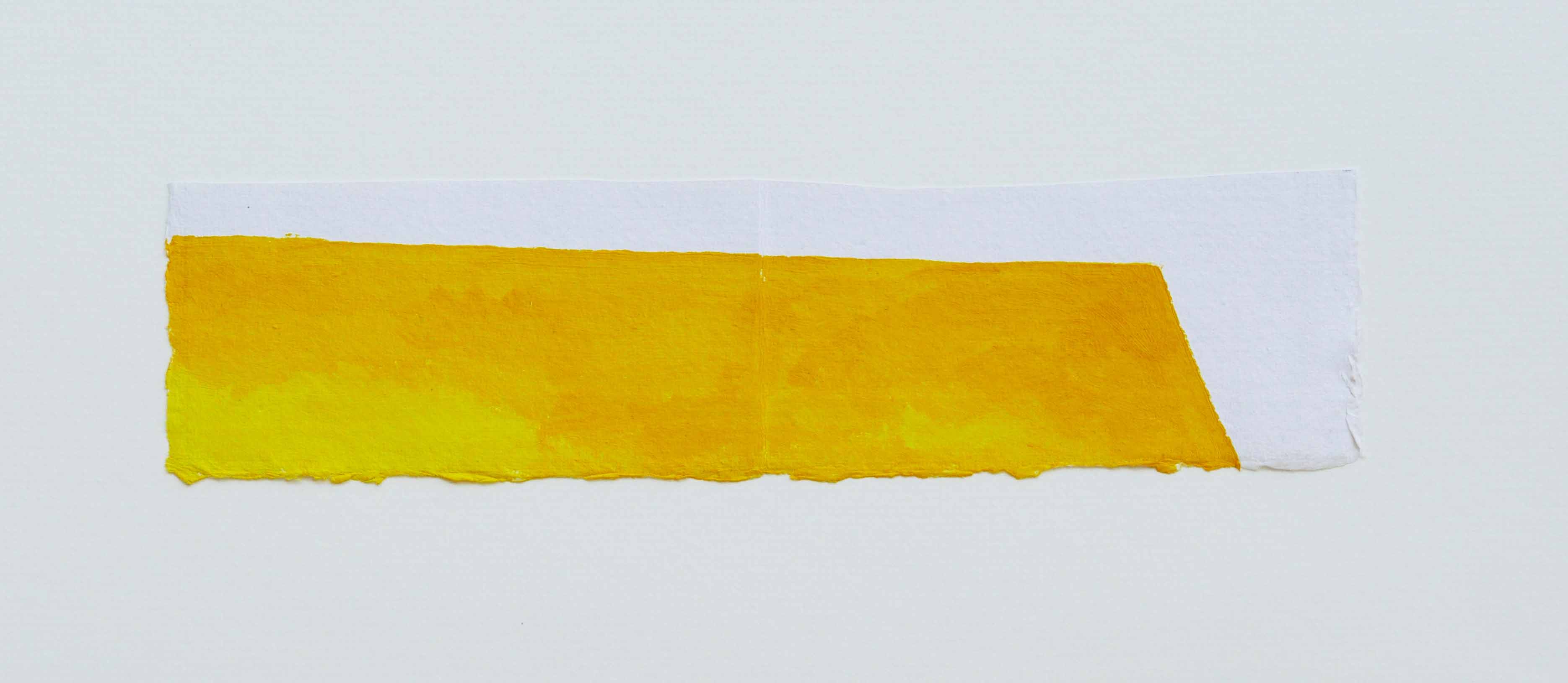 Rapeseed march April 300 X 80