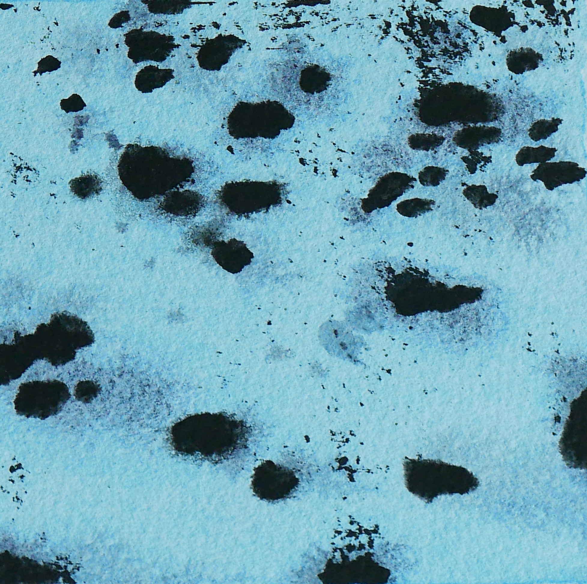Pacific (coastal #3) 140 X 140