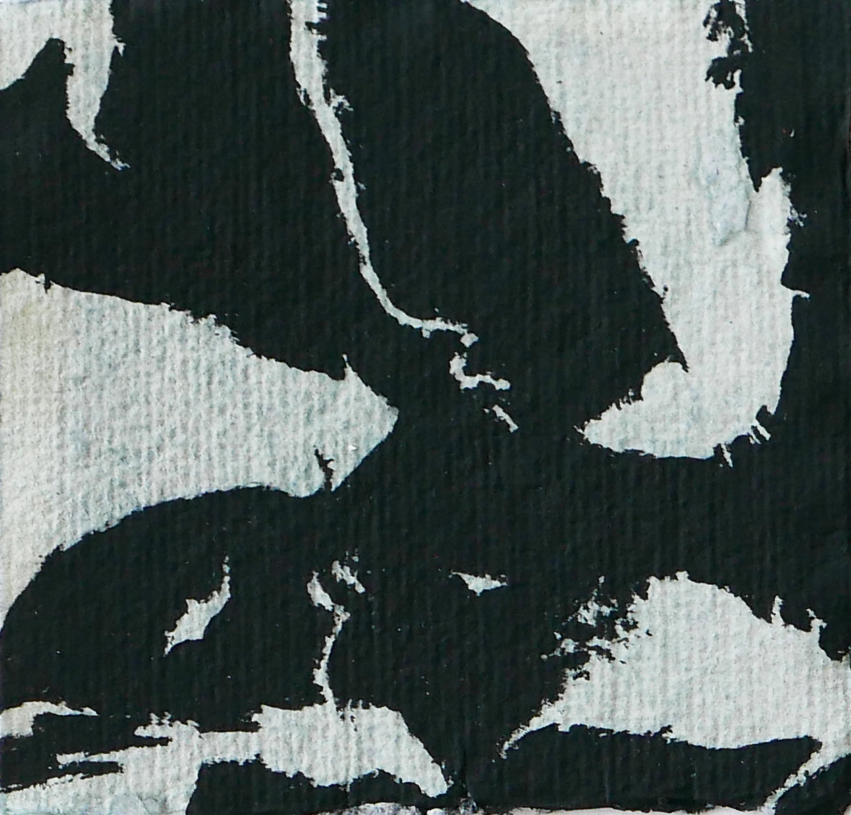 Anza Borrego # 1 80 X 80