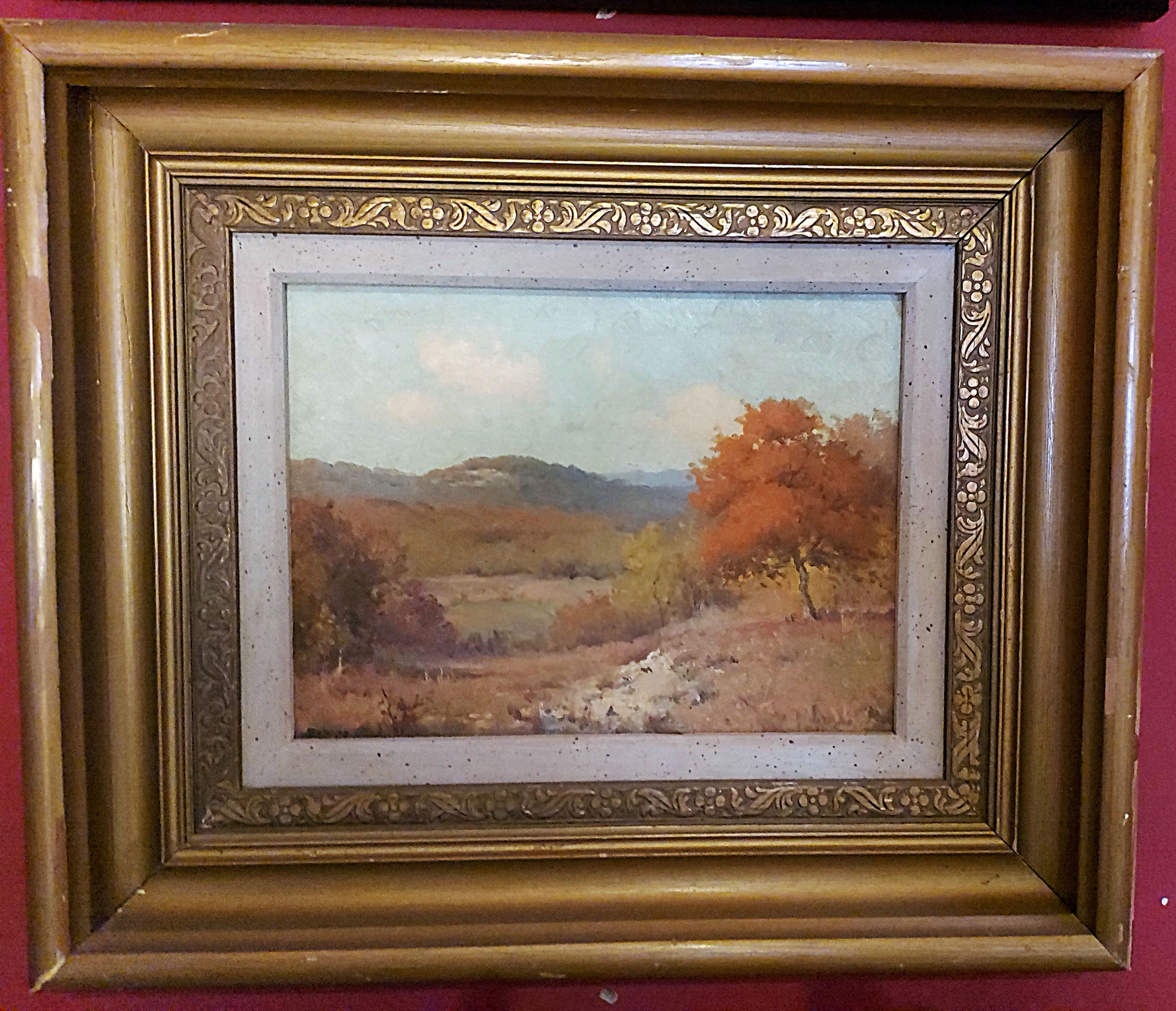 Porfirio-Salinas-Hill-Country-Texas-Red-Oak-in-Autumn