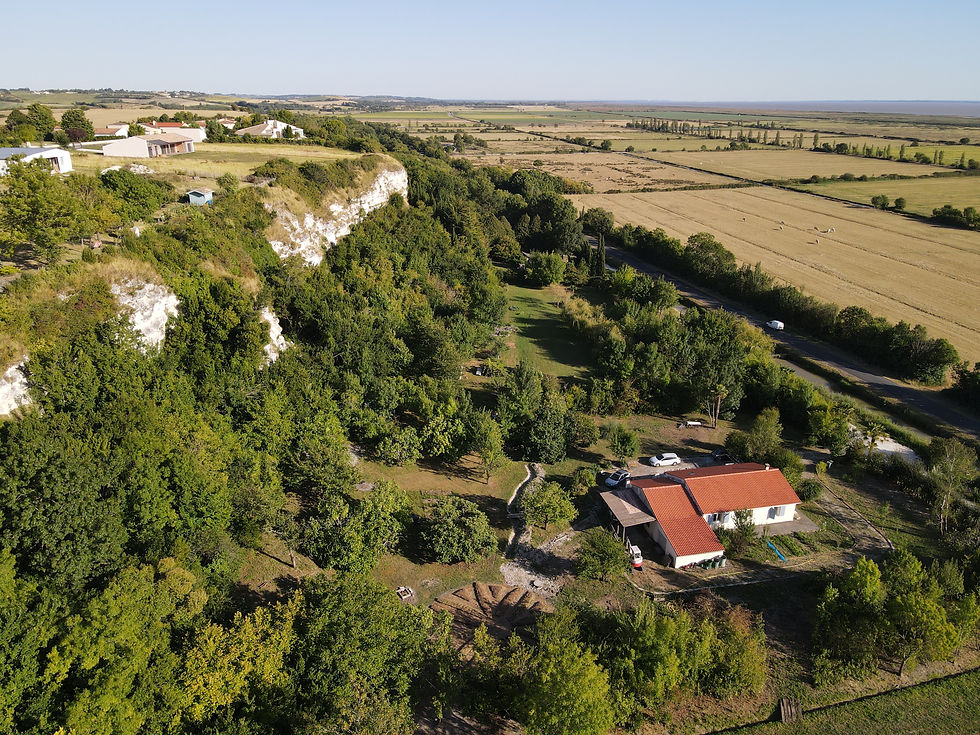 DJI_0049.jpg